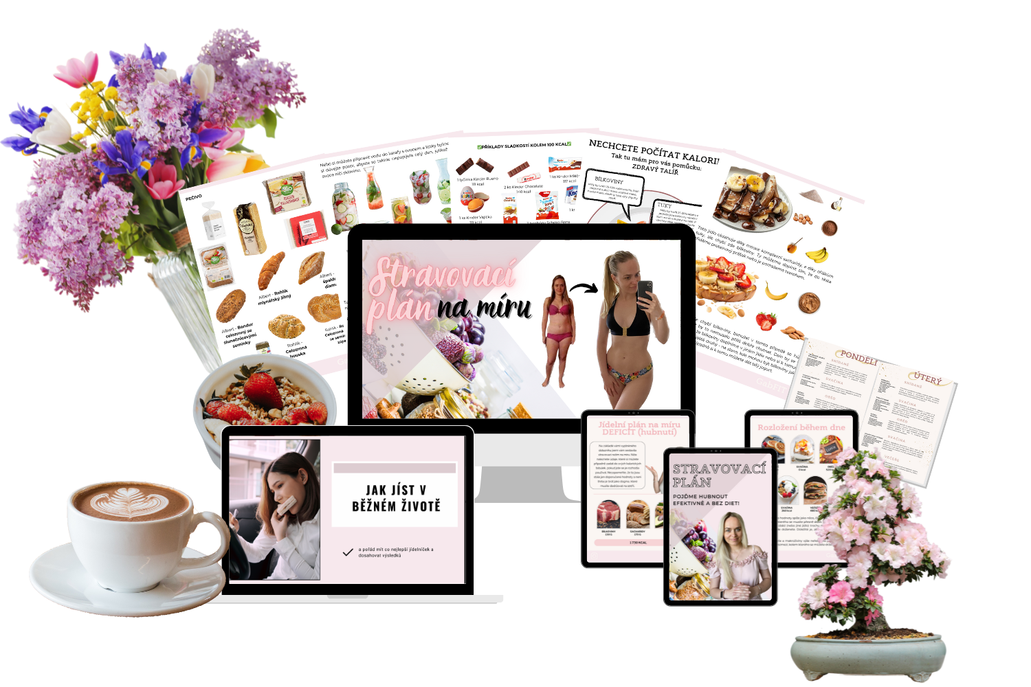 Mockup – obsah stravovacího plánu na míru (jídelníček, taháky, videa)